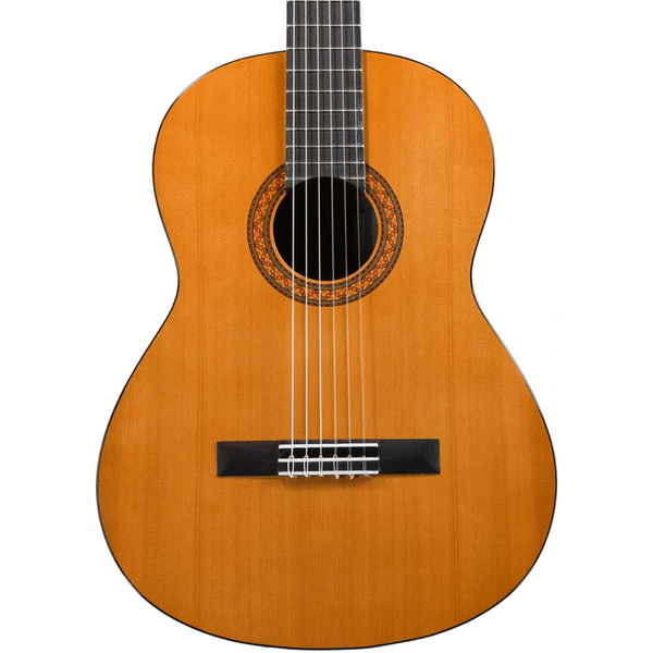 Guitarras Acústicas