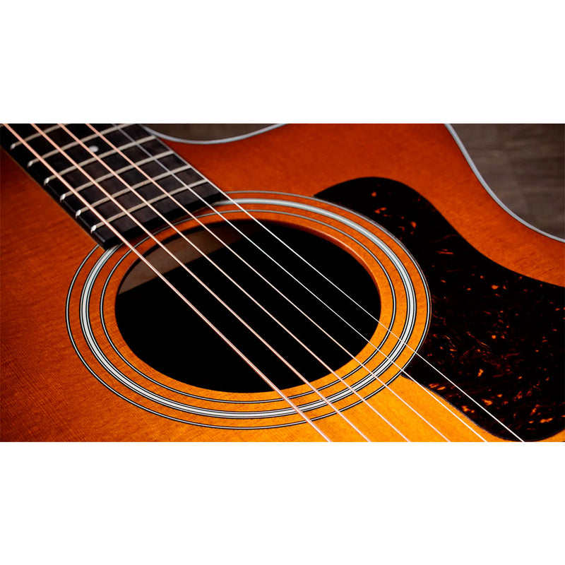 Guitarra Electroacústica Taylor 214ce Special Edition Honeyburst