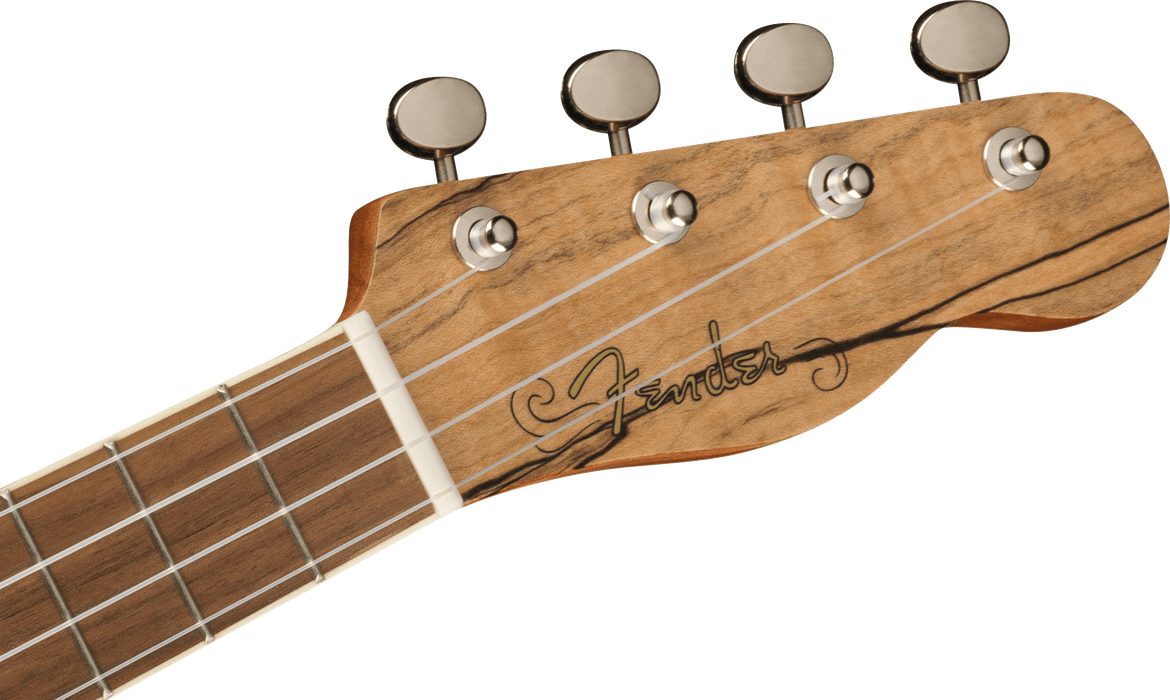 Ukelele Fender Zuma Exotic Concert con mástil de nogal - Spalted Maple