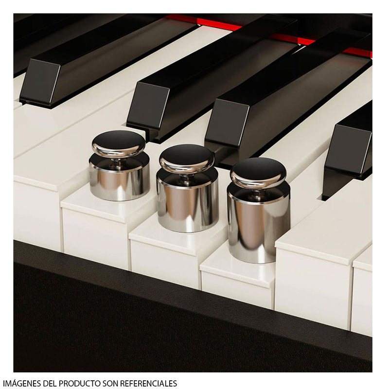 Piano Digital NUX NCK-330 - Negro