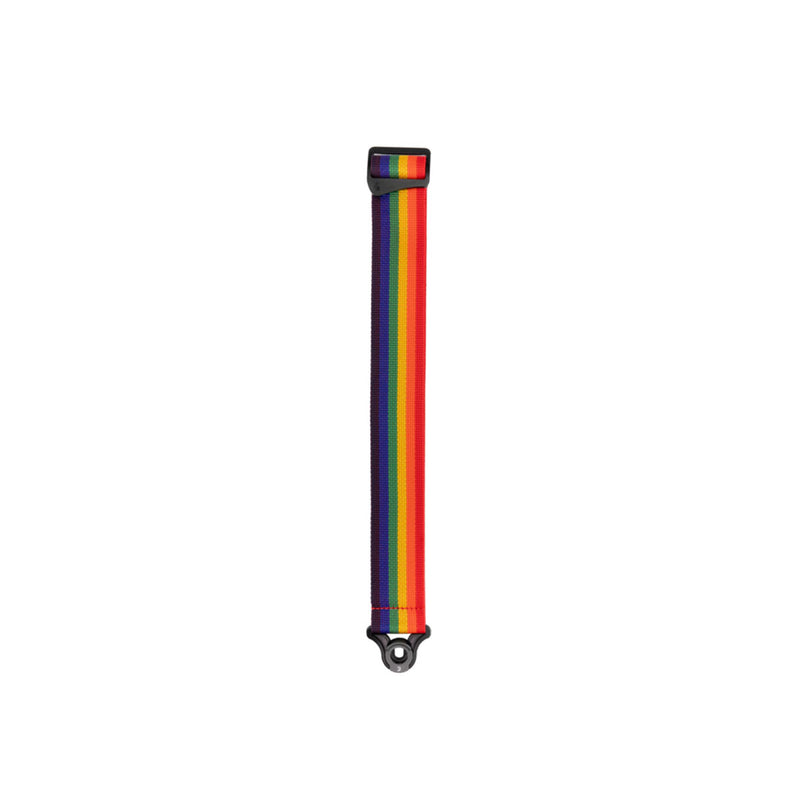 Correa para Guitarra D'addario Auto Lock PWSAL411 - Rainbow
