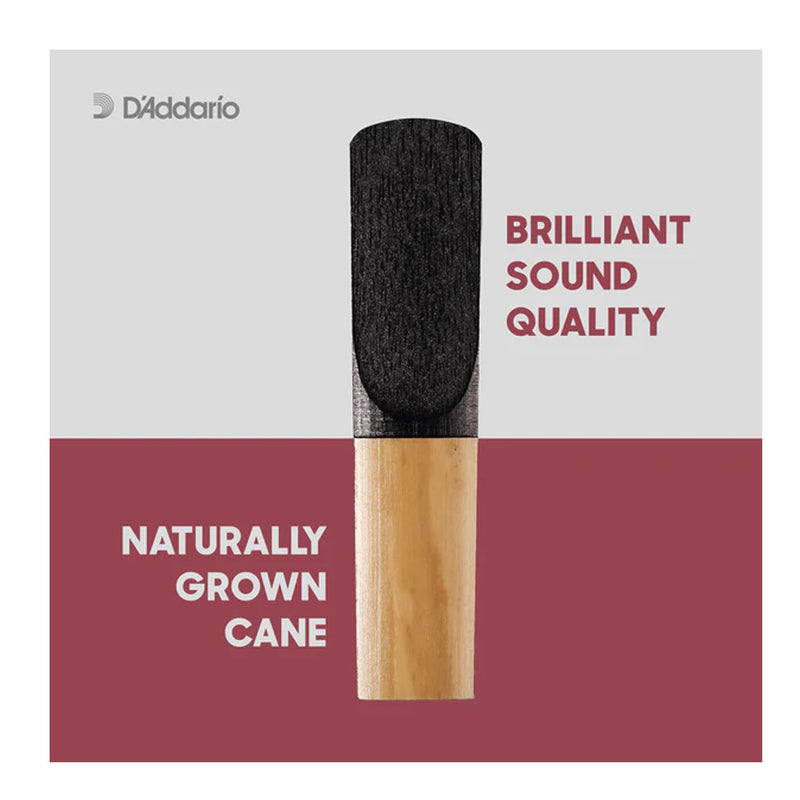 Pack de Cañas D'Addario Plasticover para Saxofón Alto RRP05ASX300 de 3.0 (5 und)