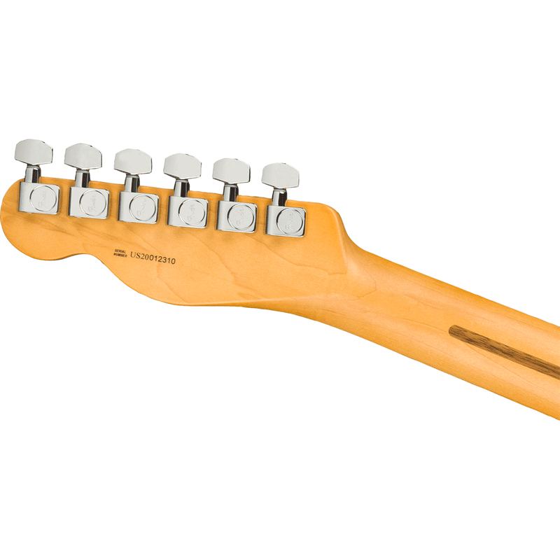Guitarra Fender American Professional II Telecaster con mástil de Palo Rosa - Dark Night