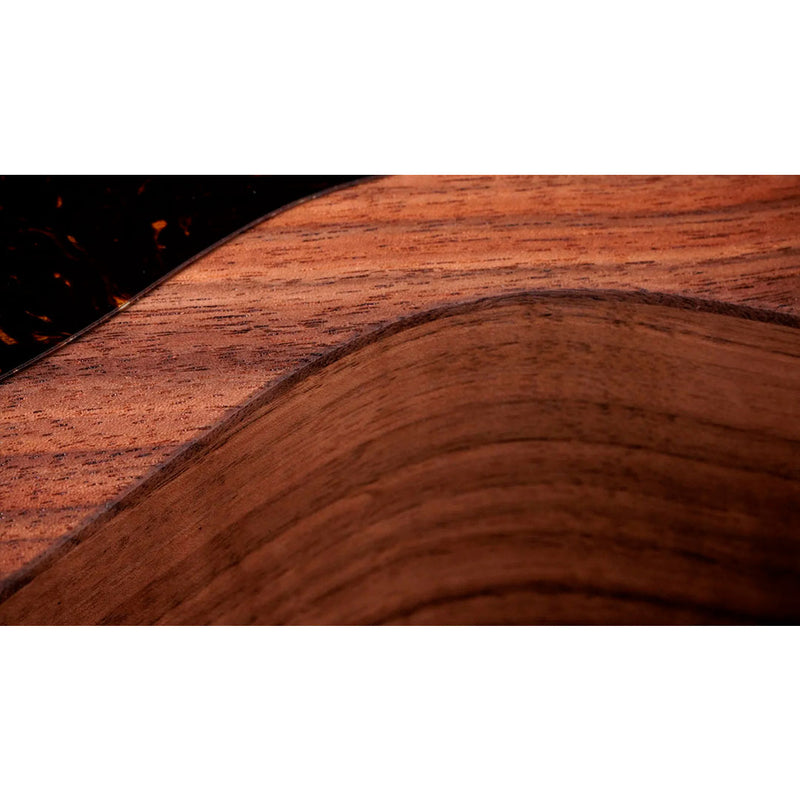 Guitarra Electroacústica Taylor Academy 22e con top de Walnut