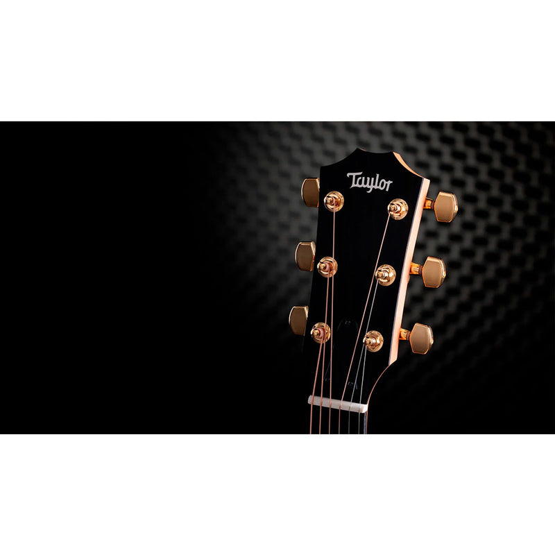 Guitarra Electroacústica Taylor 50th Anniversary 217CE - SB Plus