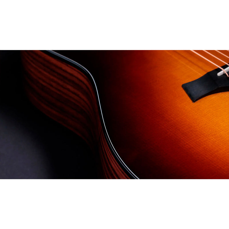 Guitarra Electroacústica Taylor 50th Anniversary 217CE - SB Plus
