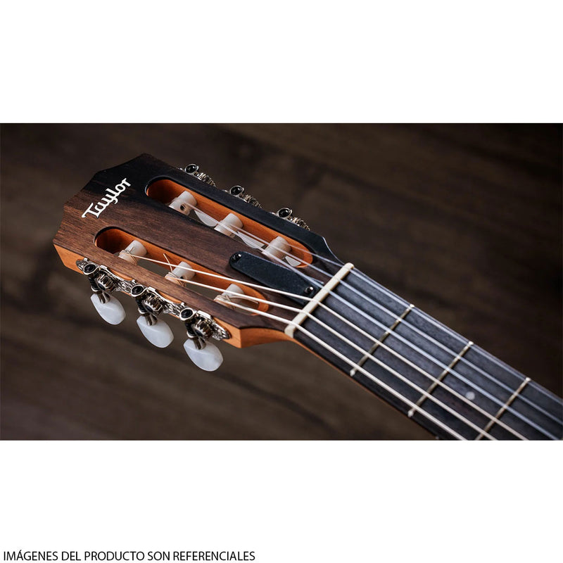 Guitarra Electroacústica de cuerdas de Nylon Taylor 214CE-N Walnut/Spruce con diapasón de Ébano Crelicam de Áfrinca Occidental