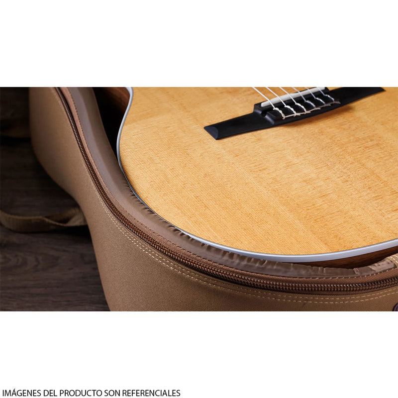 Guitarra Electroacústica de cuerdas de Nylon Taylor 214CE-N Walnut/Spruce con diapasón de Ébano Crelicam de Áfrinca Occidental