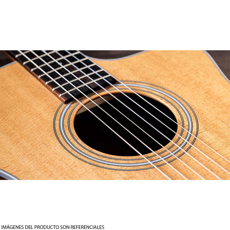 Guitarra Electroacústica de cuerdas de Nylon Taylor 214CE-N Walnut/Spruce con diapasón de Ébano Crelicam de Áfrinca Occidental