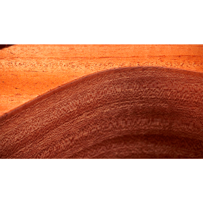 Guitarra Electroacústica Taylor 24CE Sapele/Mahogany con sistema Fishman Sonitone GT2