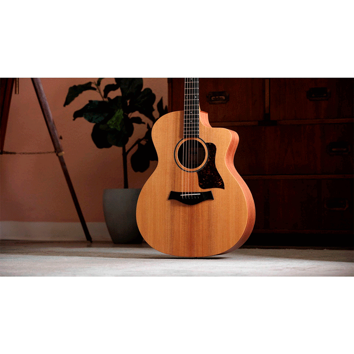 Guitarra Electroacústica Taylor 14CE Sapele/Spruce con sistema Fishman Sonitone GT2