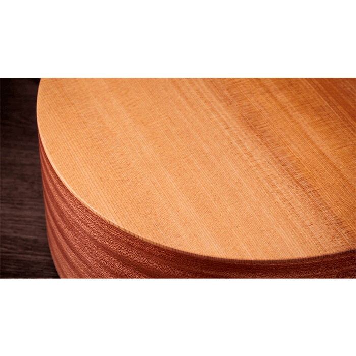 Guitarra Electroacústica Taylor 14CE Sapele/Spruce con sistema Fishman Sonitone GT2