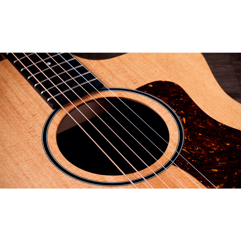 Guitarra Electroacústica Taylor 14CE Sapele/Spruce con sistema Fishman Sonitone GT2