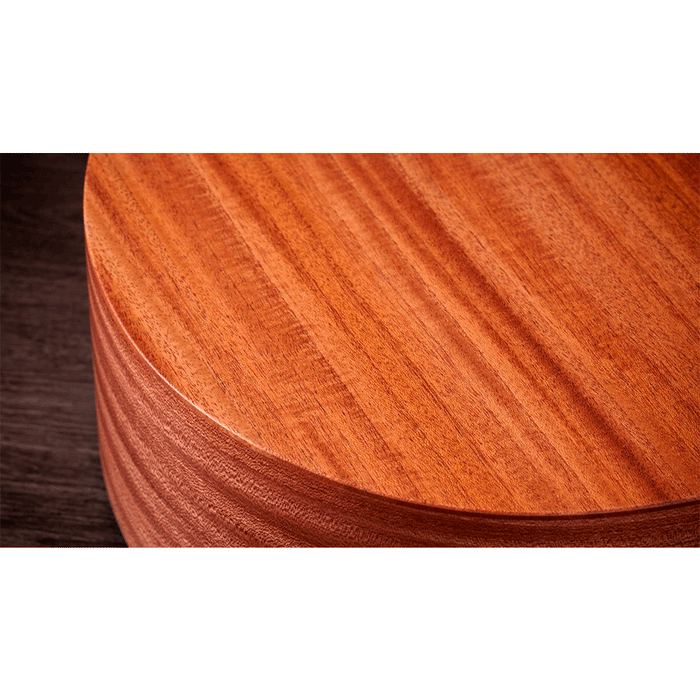 Guitarra Electroacústica Taylor 24CE Sapele/Mahogany con sistema Fishman Sonitone GT2