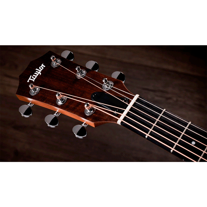 Guitarra Electroacústica Taylor 24CE Sapele/Mahogany con sistema Fishman Sonitone GT2