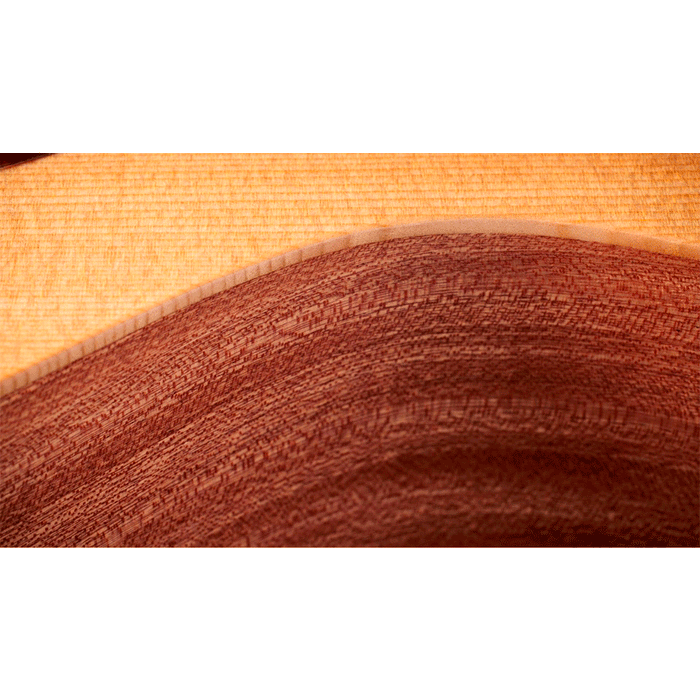 Guitarra Electroacústica Taylor 14CE Sapele/Spruce con sistema Fishman Sonitone GT2