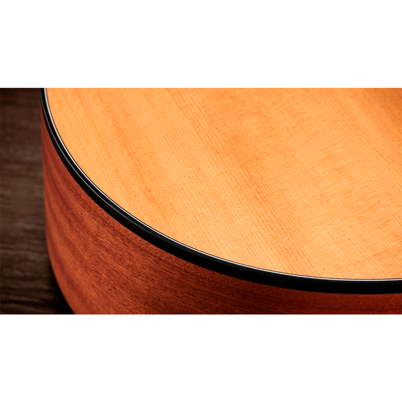 Guitarra Electroacústica Taylor 112CE-N de cuerdas de Naylon