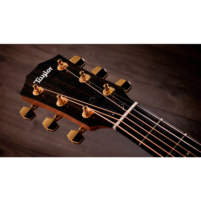 Guitarra Electroacústica Taylor SUNSET BLVD 214CE DLX SEB