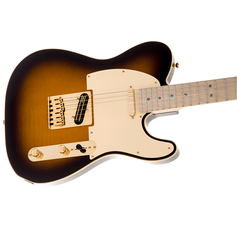 Guitarra Eléctrica Fender Richie Kotzen 0255202532 con diapasón de Maple - Brown Sunburst