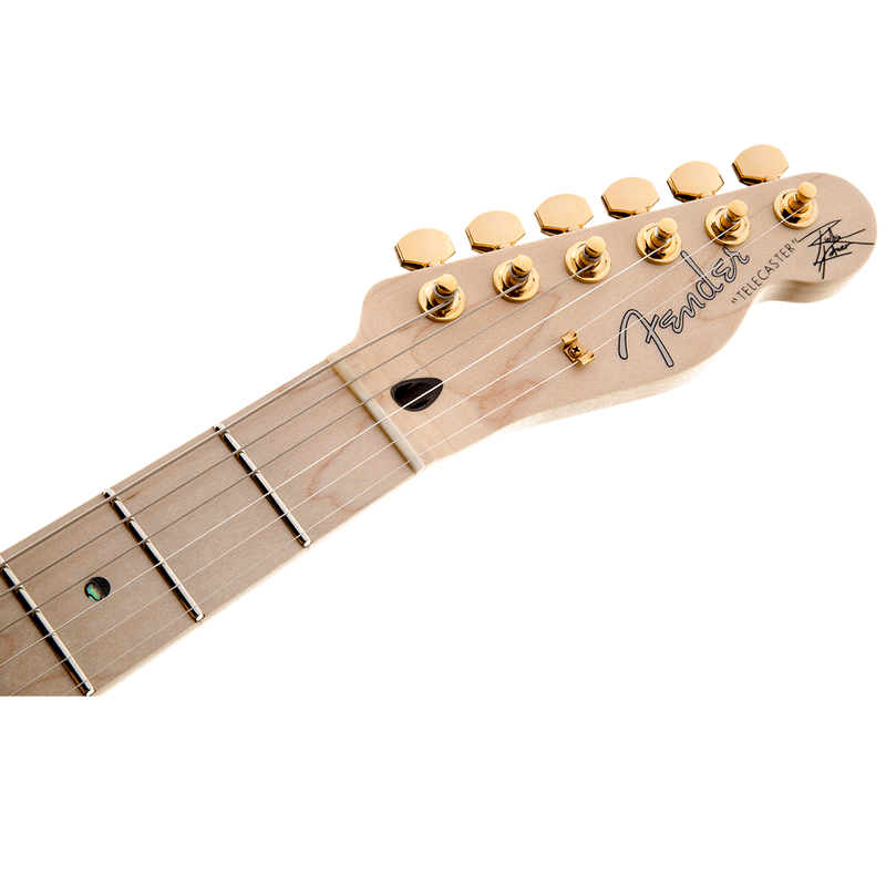Guitarra Eléctrica Fender Richie Kotzen 0255202532 con diapasón de Maple - Brown Sunburst