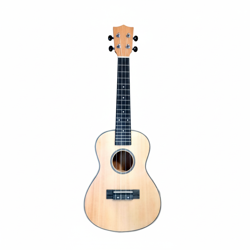UKELELE MOON CONCERT 402