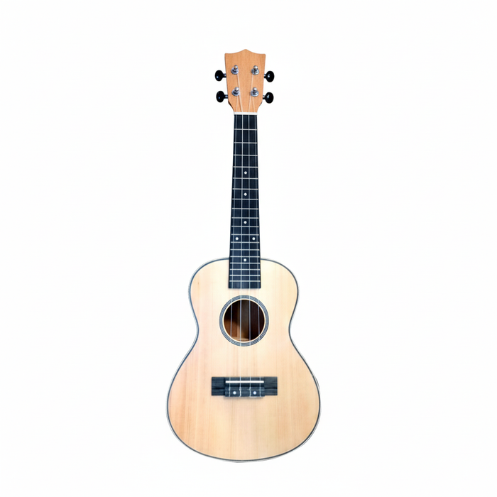 UKELELE MOON CONCERT 402