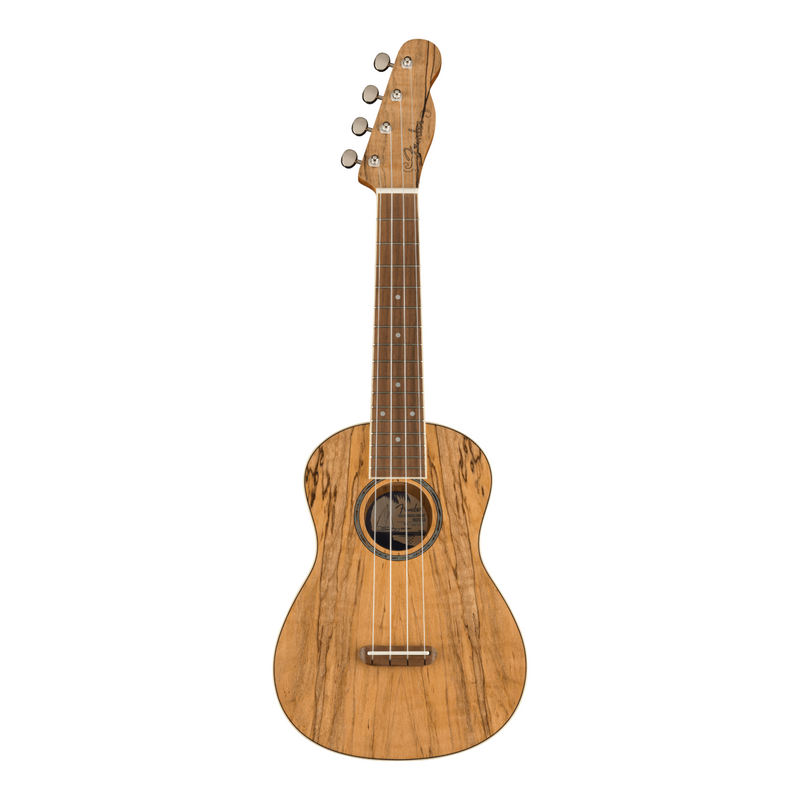 Ukelele Fender Zuma Exotic Concert con mástil de nogal - Spalted Maple
