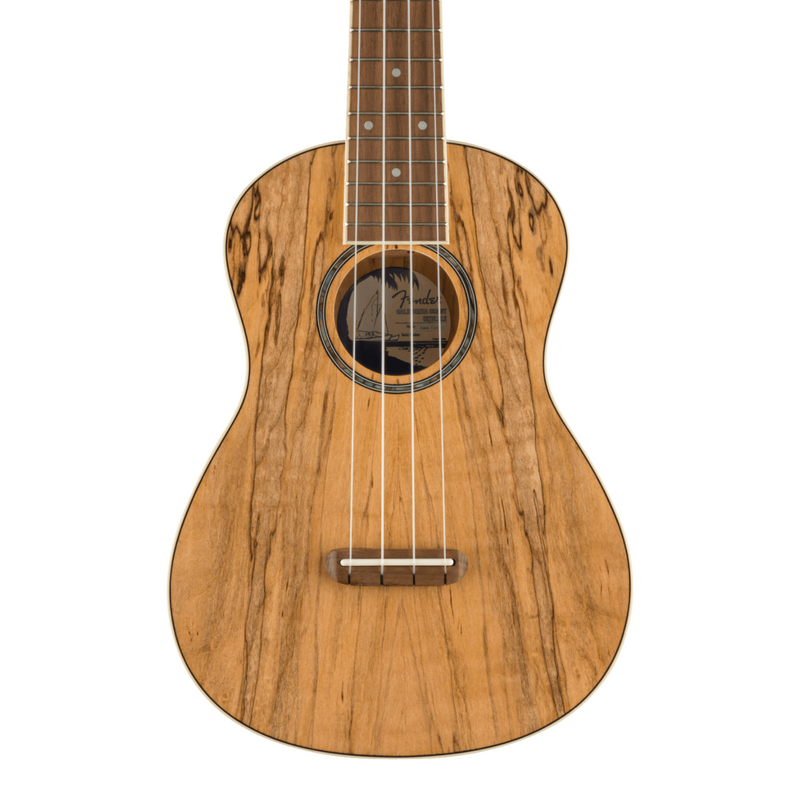 Ukelele Fender Zuma Exotic Concert con mástil de nogal - Spalted Maple