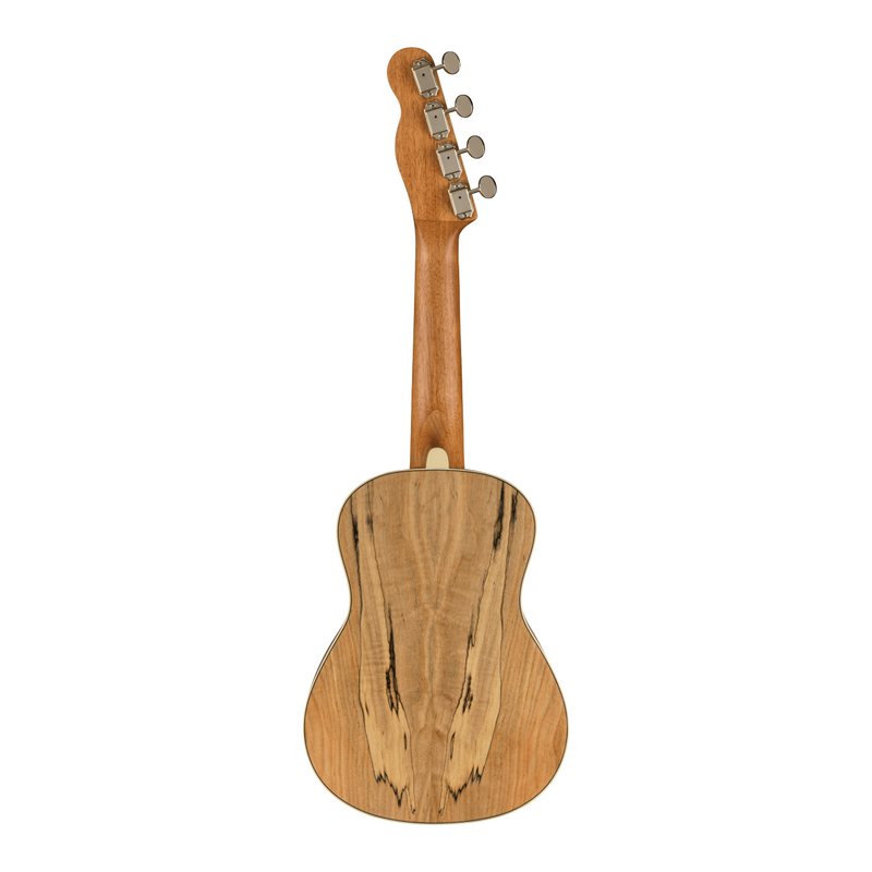 Ukelele Fender Zuma Exotic Concert con mástil de nogal - Spalted Maple